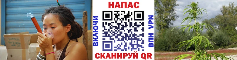 Бошки Шишки Щёлково