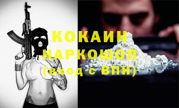 кокс Алексин