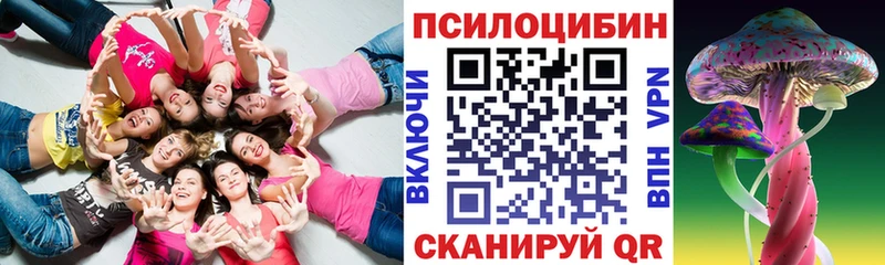 купить наркотики цена  Щёлково  Псилоцибиновые грибы Magic Shrooms 